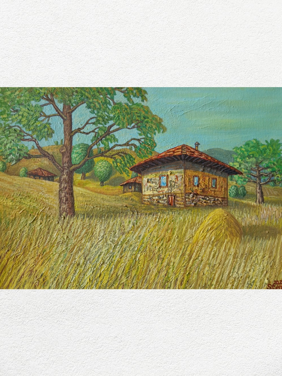 In the village Leshko